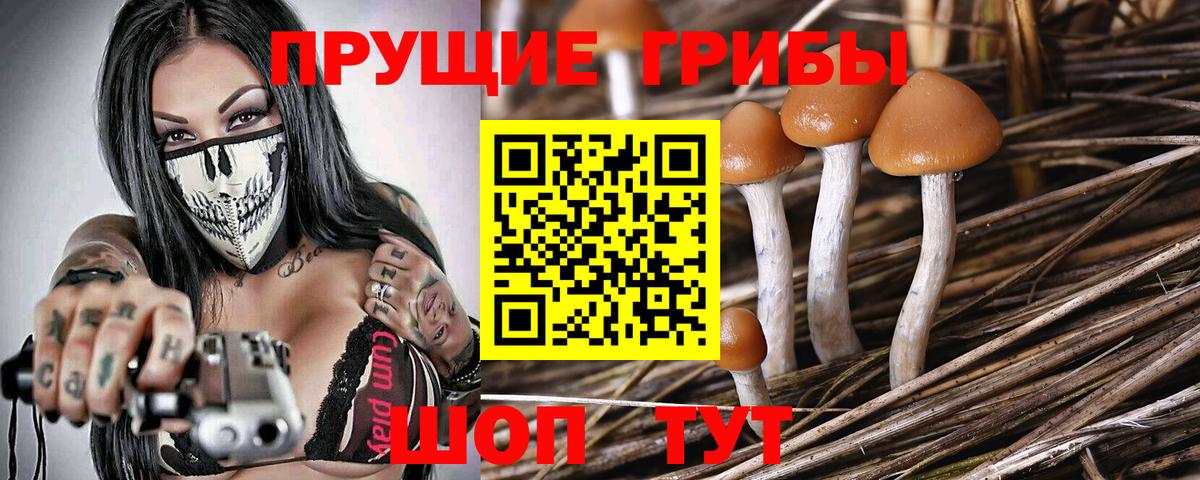 Псилоцибиновые грибы ЛСД Железногорск